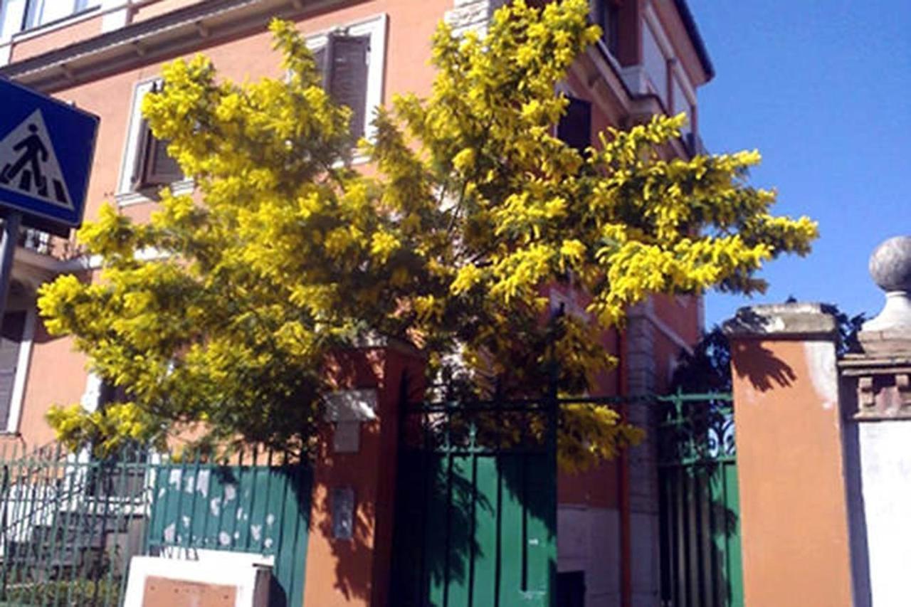 Garden Flat By Vatican Walls 로마 외부 사진